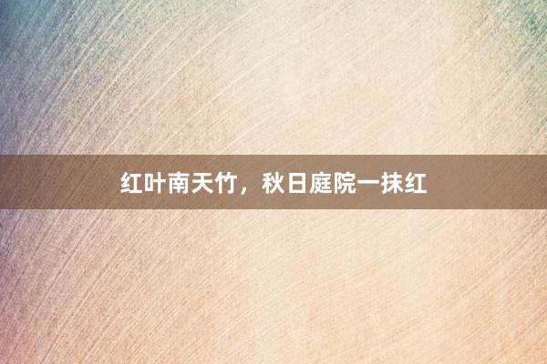 红叶南天竹,秋日庭院一抹红